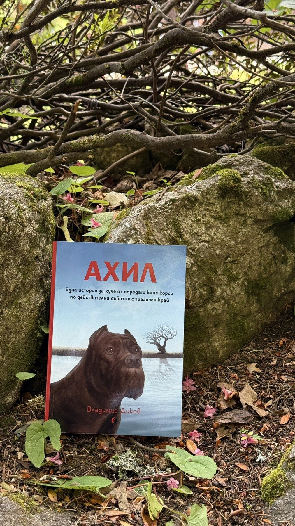 Книга "АХИЛ" – Истинска история за вярност и приятелство
