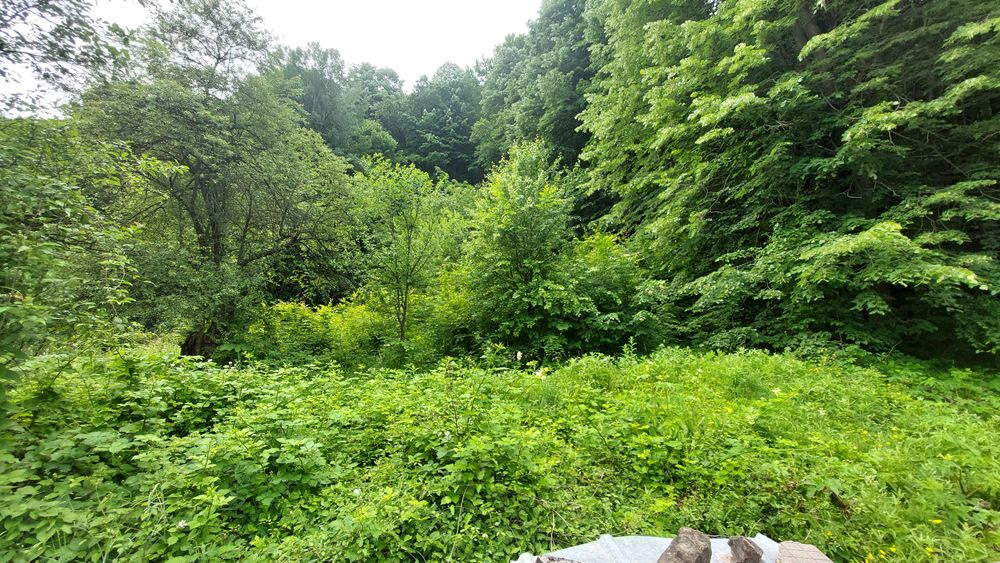 Продава се Парцел в Габрово, Етъра - 1167 кв.м за 11 €/кв.м - Снимка #1