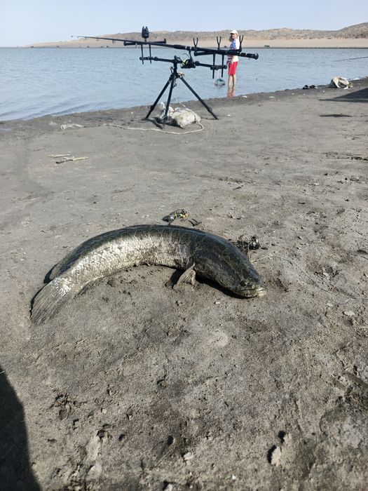 Снасти для рыбалки