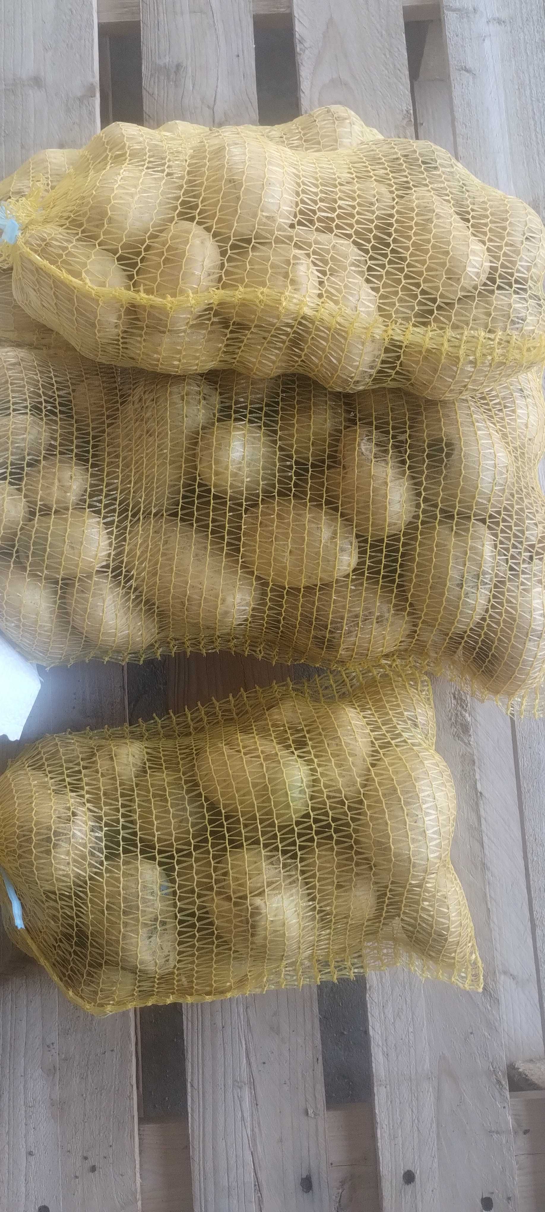 Продавам пресни картофи