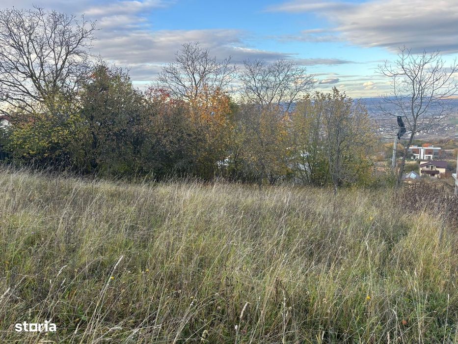 Teren intravilan Feleacu/panorama