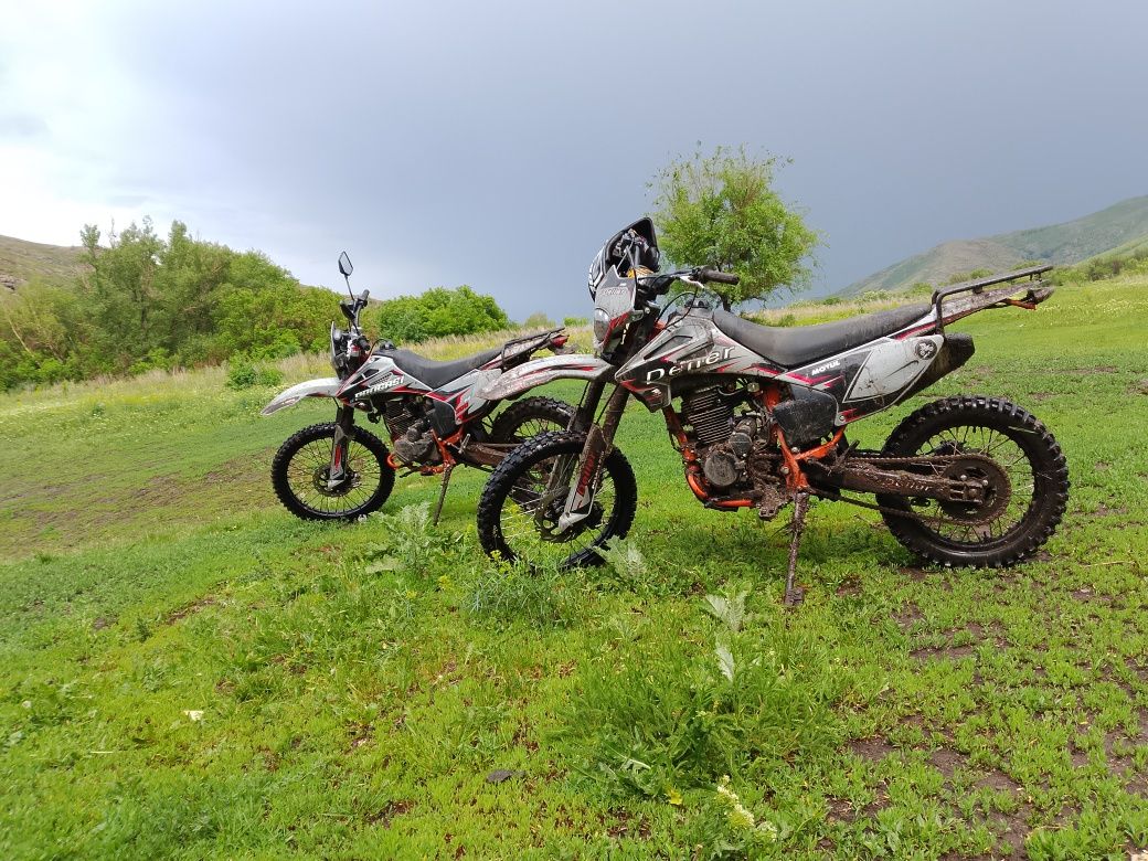 Прогаси 250 кубов