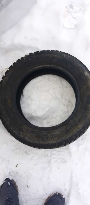 Продам шину 1шт tunga notd way2