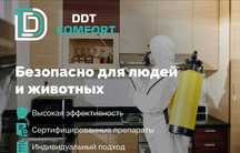 Dezinfeksiya klop klapa tarakan | Уничтожение скорпион | змей ilon Y1