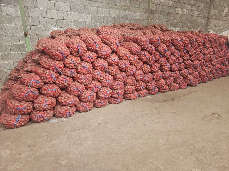 Cartofi samanta ESMME de calitatea I-a