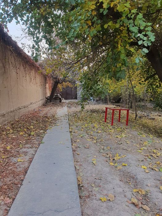 Yer Sotiladi, Nazarbek