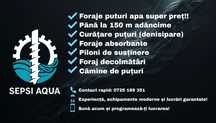 Foraje puturi profesionale