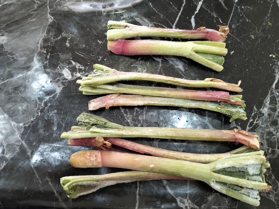 Dovcha, Koksulton, Ravoch bor holol