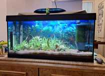 Acvariu Tetra 54l complet