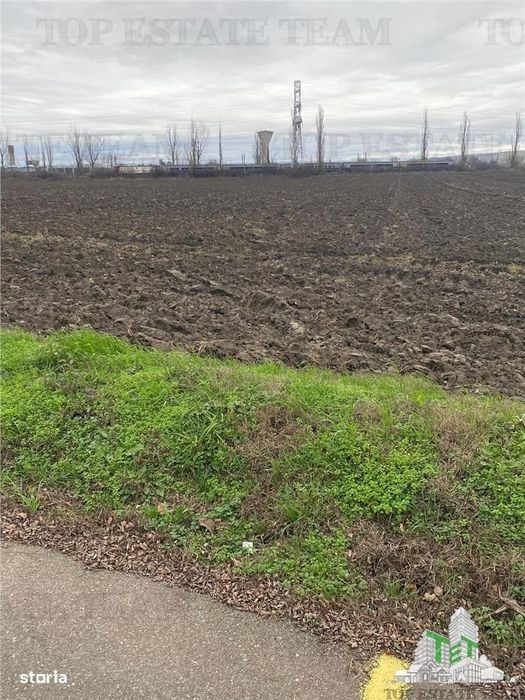 Teren Extravilan 10.000 mp in Prahova