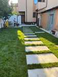 Gazon rulou premium sistem de irigații Plante ornamentale