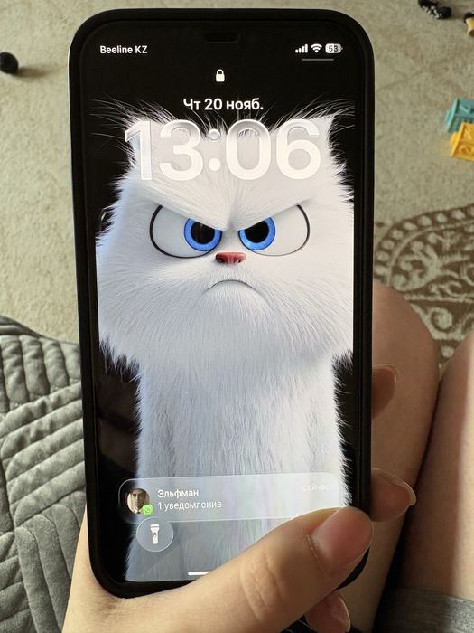 Iphone 12 с коробкой