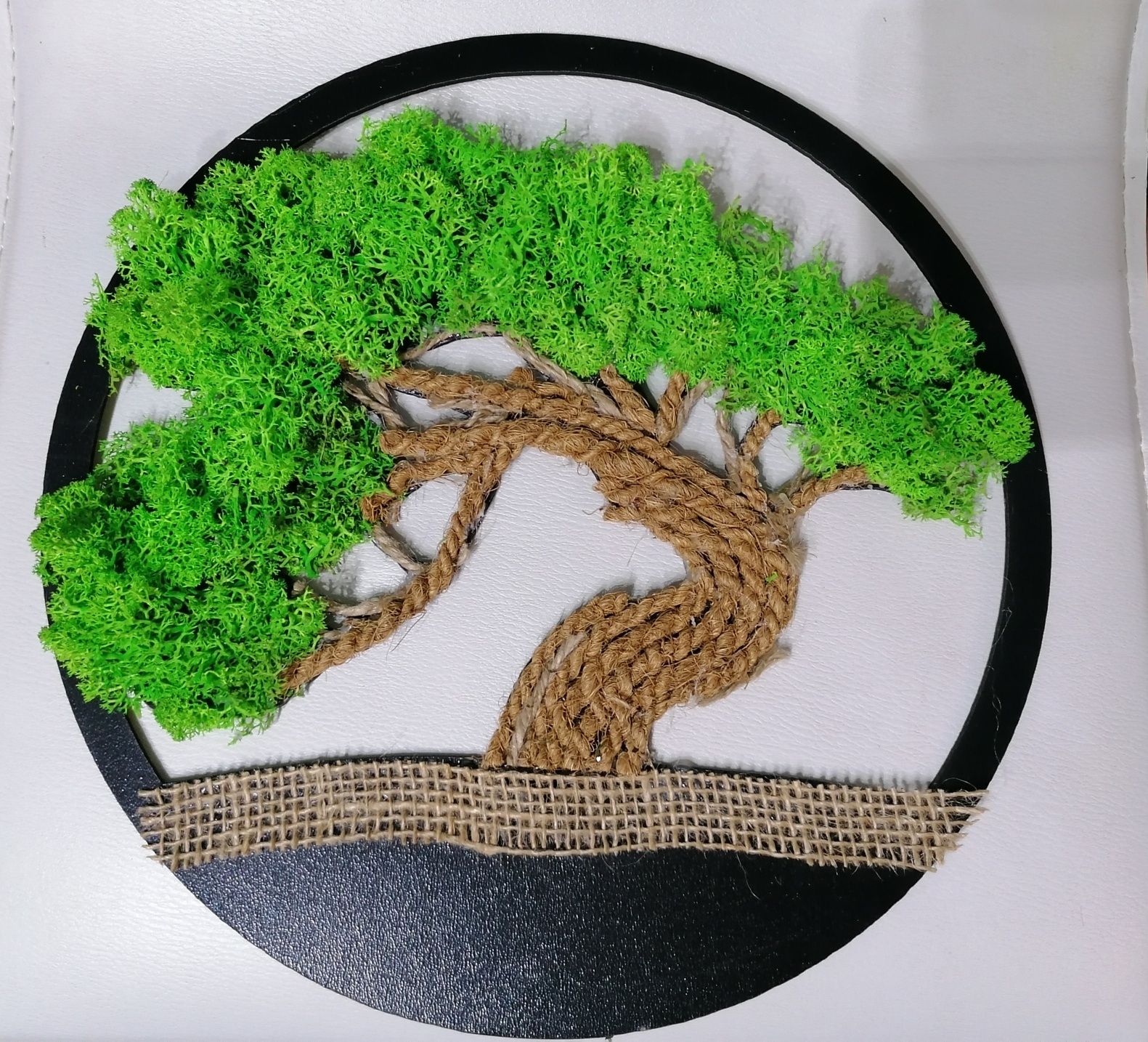 Bonsai / tablouri din licheni