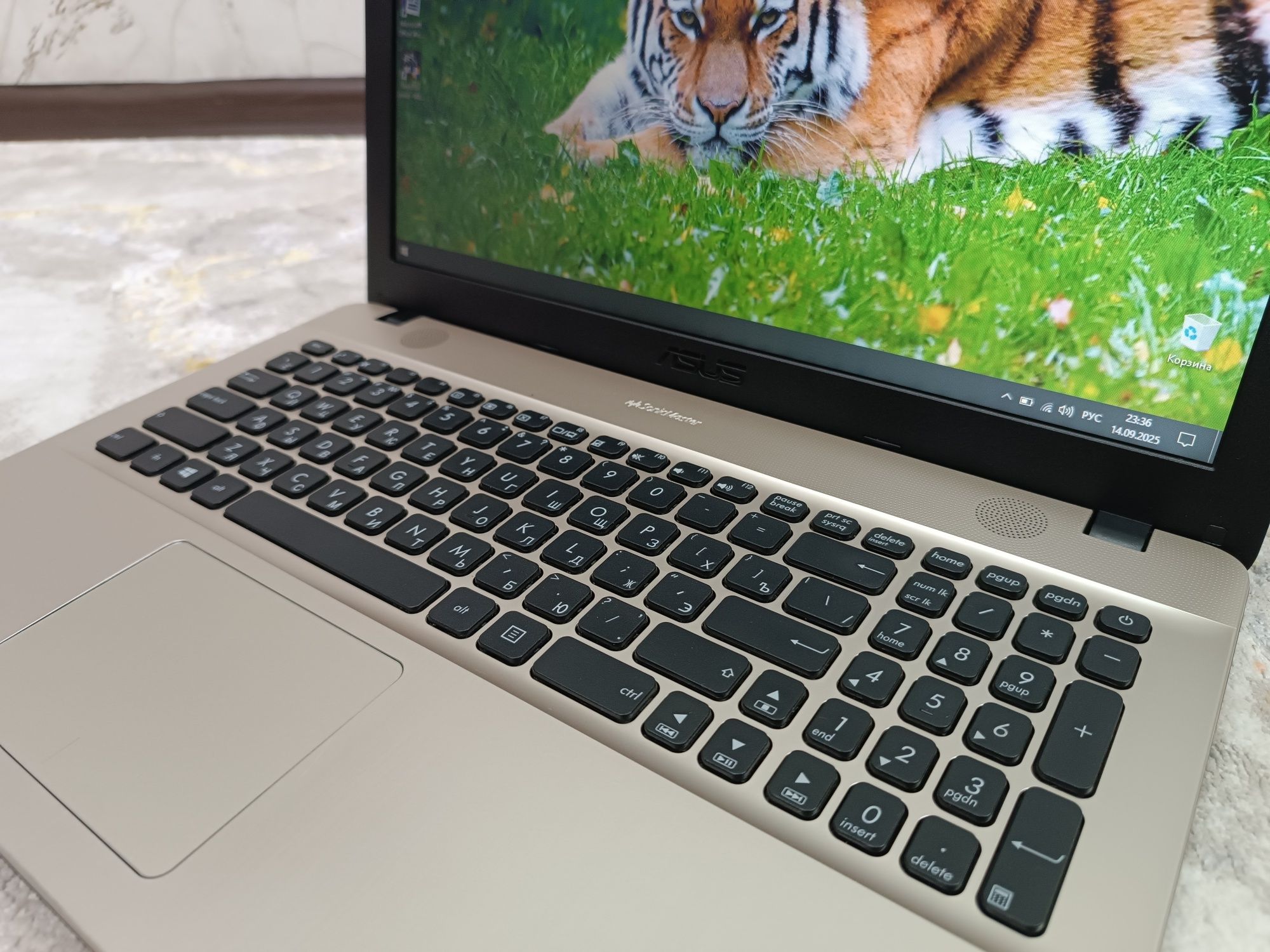 Ноутбук ASUS Windows 10 SSD.