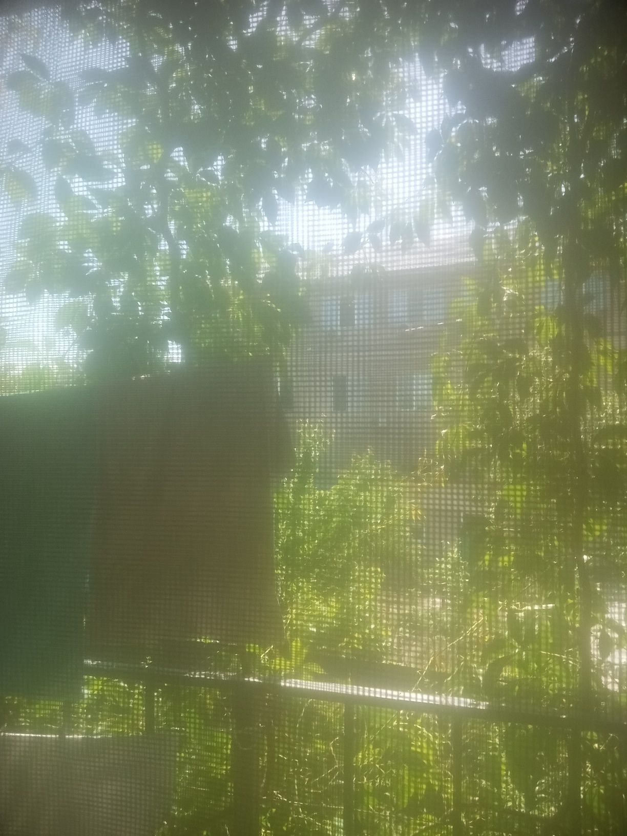 Колонка Алиса лайт2