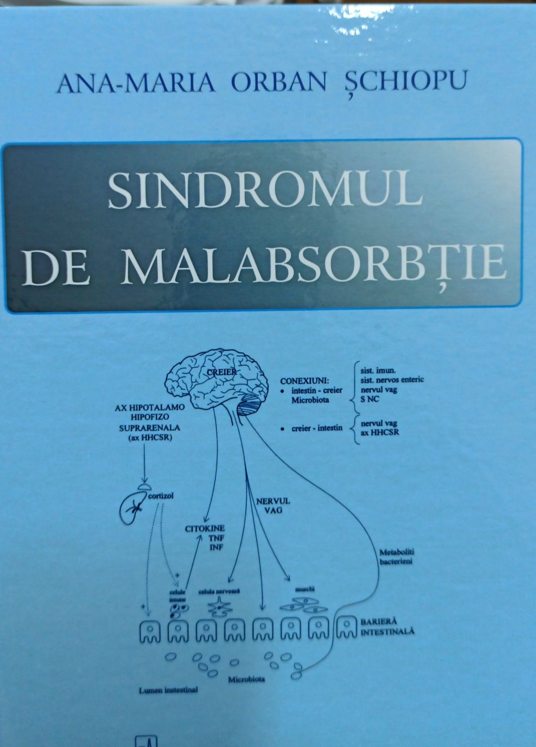 Sindromul de malabsorbție - Ana-Maria Orban Șchiopu