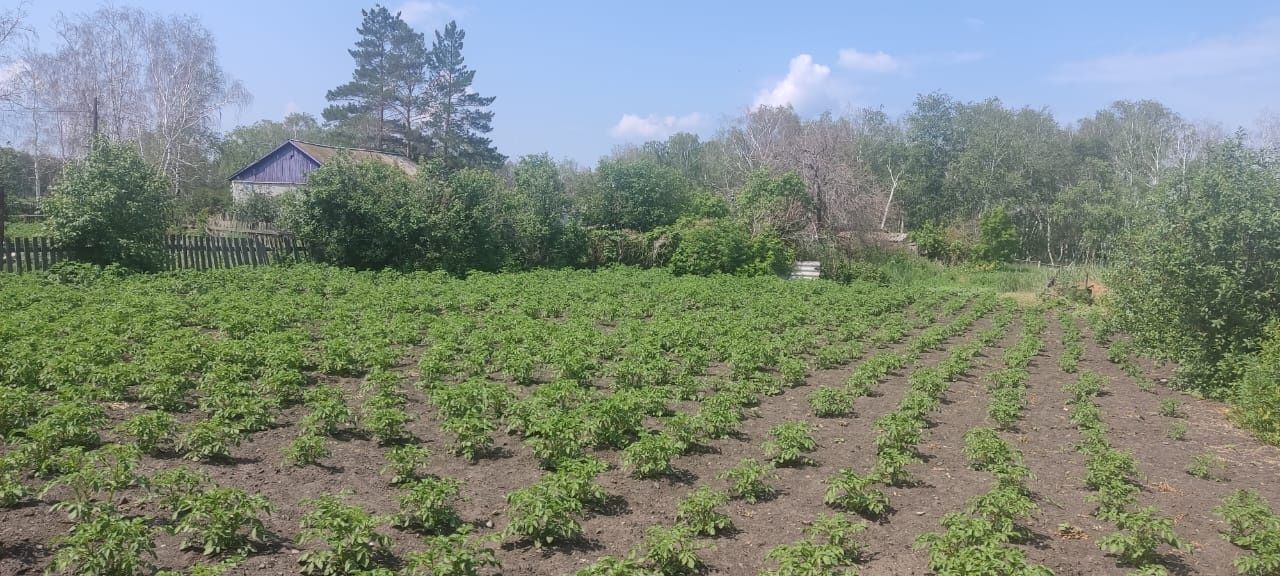 Продам дом булаево