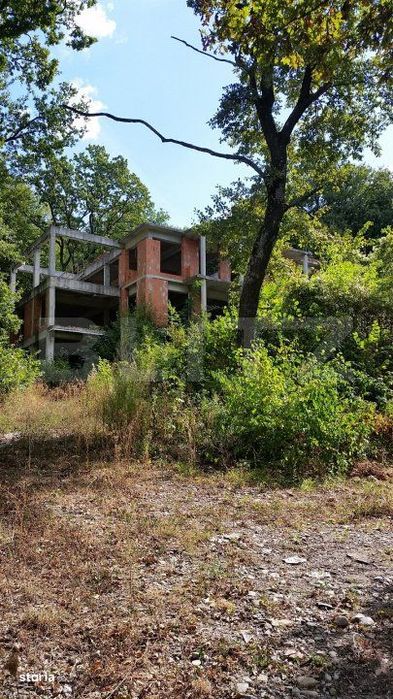 Ocazie! Casa la rosu, cu teren de 9748 mp, zona camping Faget, in padu