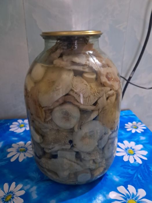 Продам грибы собраны  и приготовлены в этом году