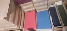 Faguri din ceara colorați