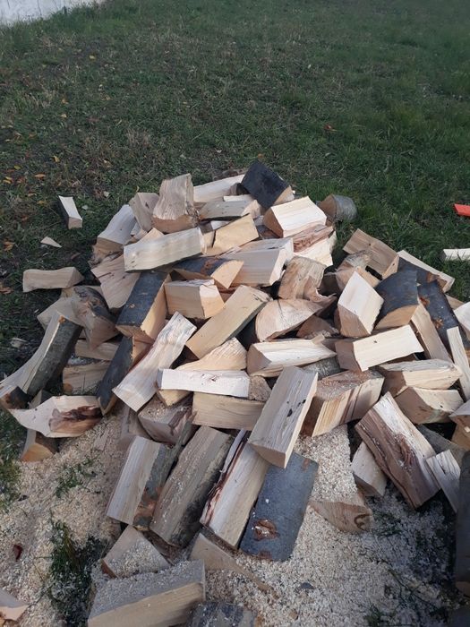 Vand lemne de foc buștean fag