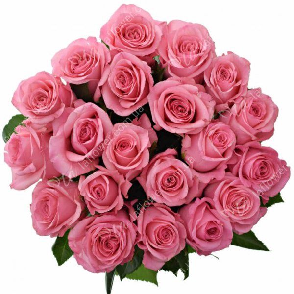 Продажа  розы  хризантемы  альстромерия гвоздика  гипсофила