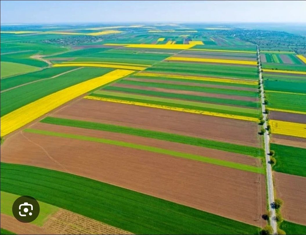 Teren agricol extravilan