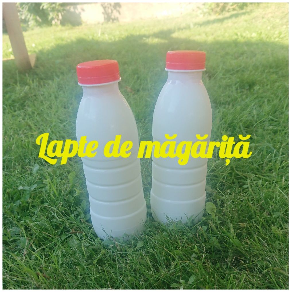 Lapte de magarita