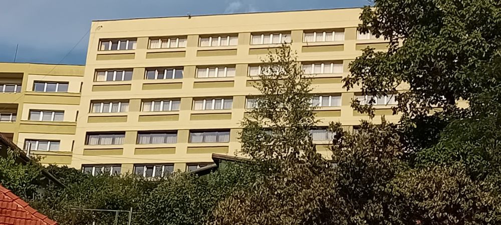 Central, apartament de  închiriat  la  curte