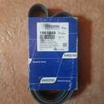 Vand curea PACCARD pompa apa Daf xf 105 +2 senzori ABS