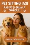 Pet Sitting Iasi