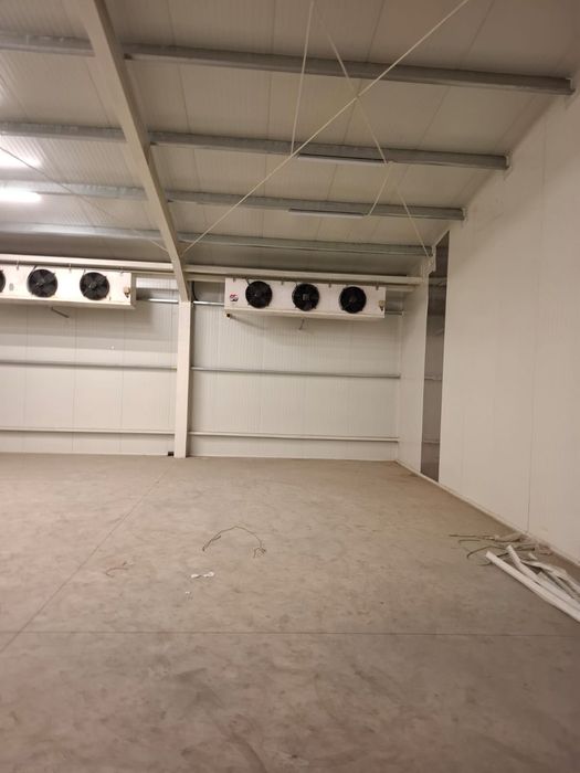 Ofer spre inchiriere depozit frigorific in Galati