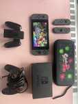 Nintendo switch v1 modat