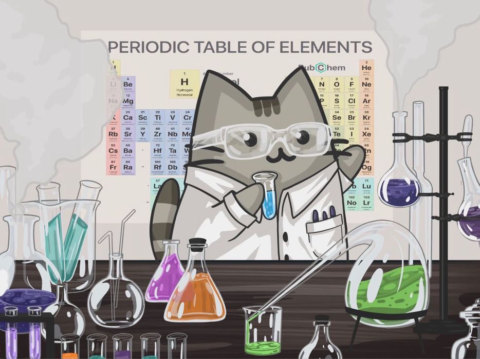Meditații chimie organică pentru clasa a X-a