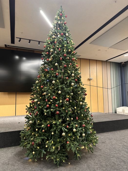 Новогодняя елка, 5 метров.