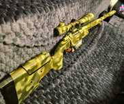 Sniper Ssg10 A2 Custom!