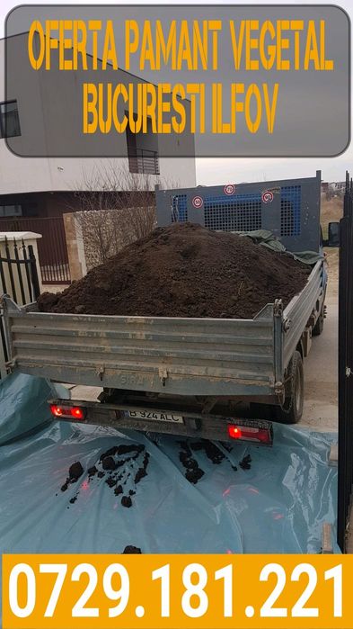 Oferta pamant negru vegetal de padure pentru gazon florii curte