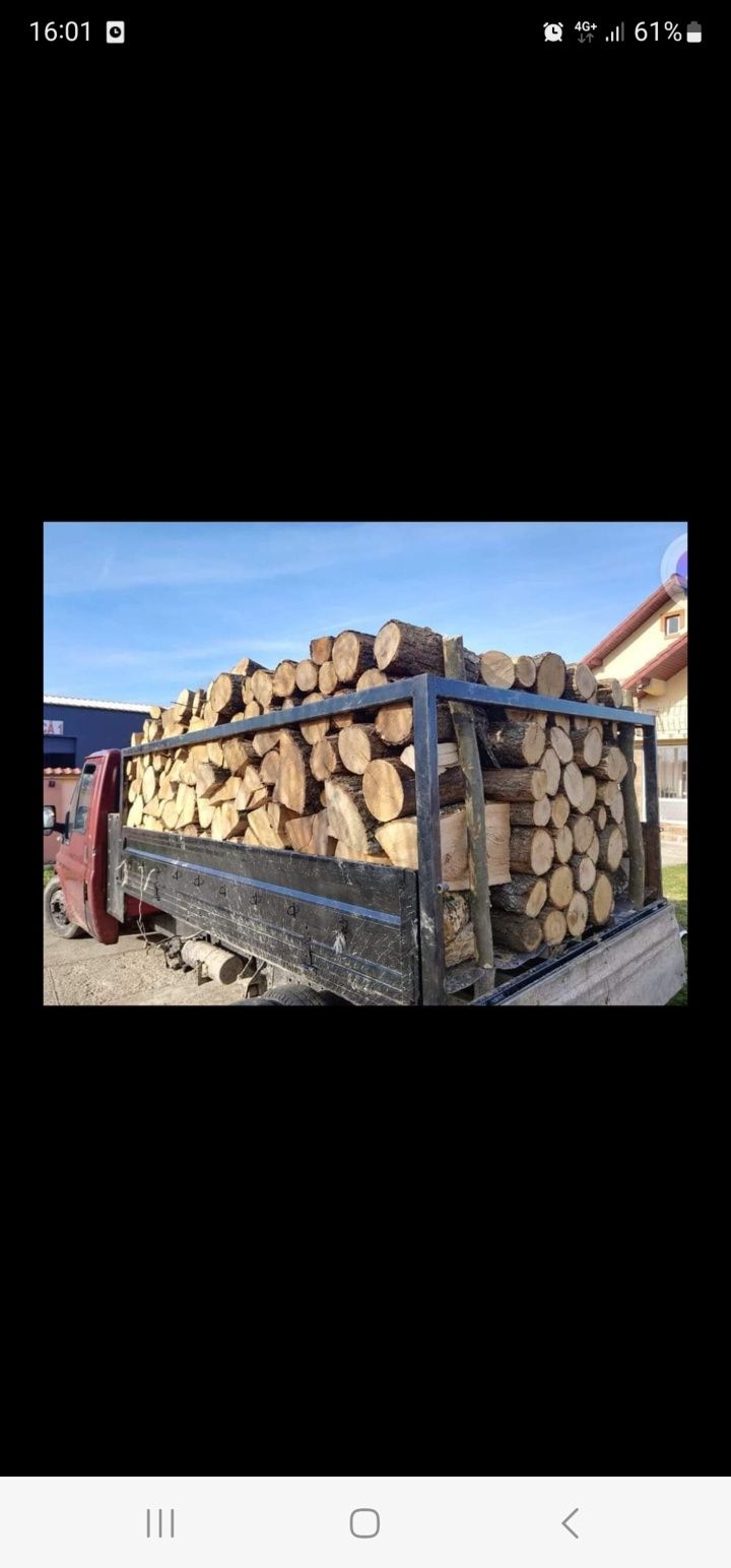 Lemn de fag și stejar