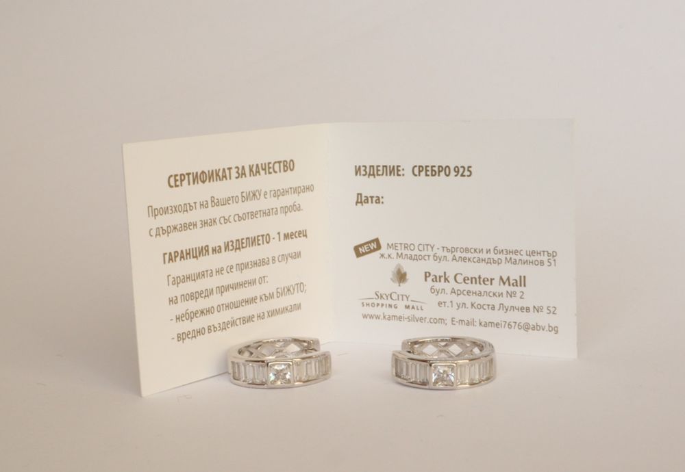 Дамски сребърни обеци