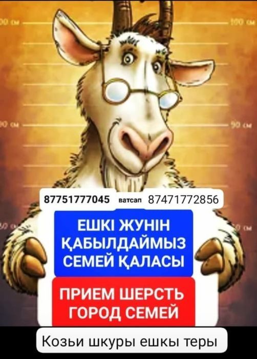 Ешкы жуны шерсть ДОРОГО