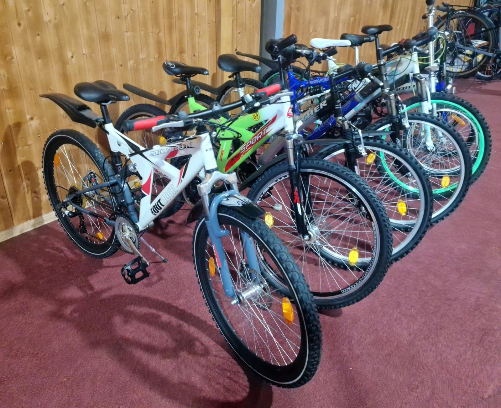 Bicicleta copii, adulți, biciclete germania