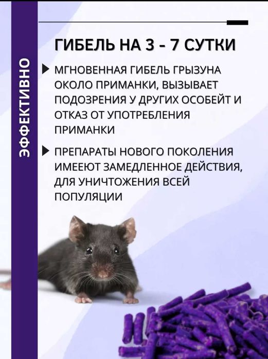 Агран циперметр Амазон отрава от тараканов клопов мышей