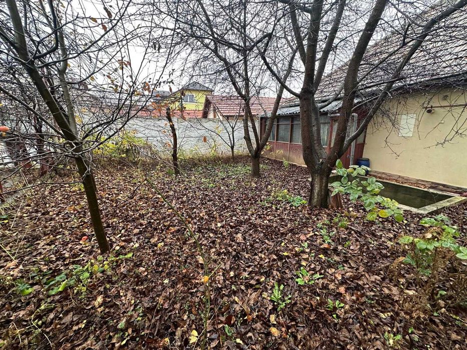 Casa singur in curte - 3 camere - zona Trei Stejari