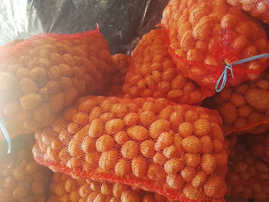 Cartofi pentru animale