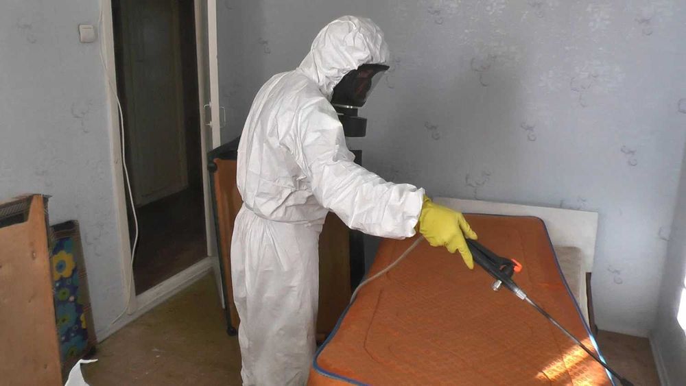 Дезинфекция Dezinfeksiya чивин пашша клоп клапа chivin pashsha ilon