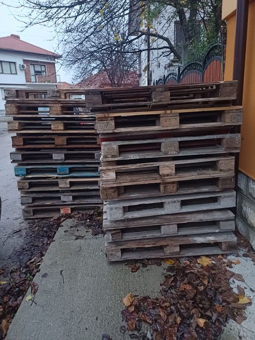 Евро палета 50 броя