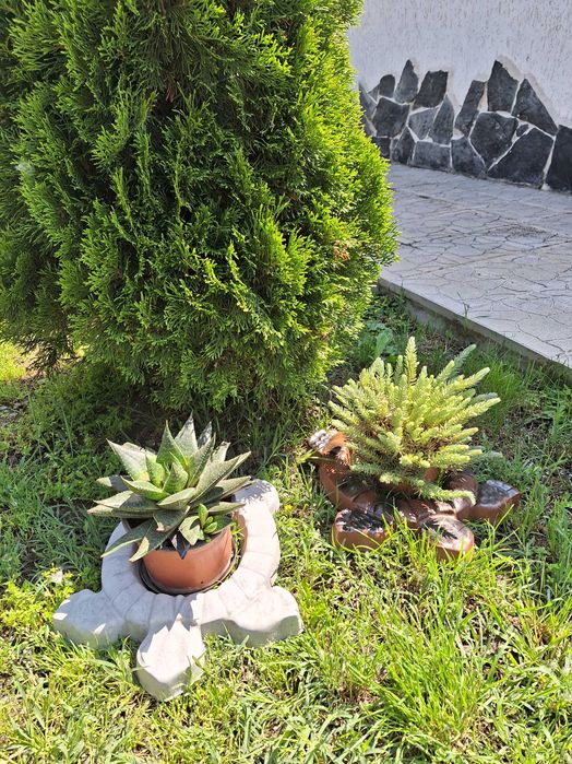 Бетонни костенурки за градина