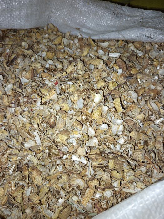 Yem mahsulotlari kunjara 5200 söm 1 sört