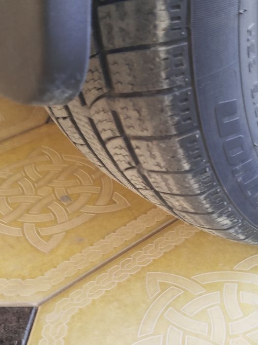 15 diska balon sotiladi