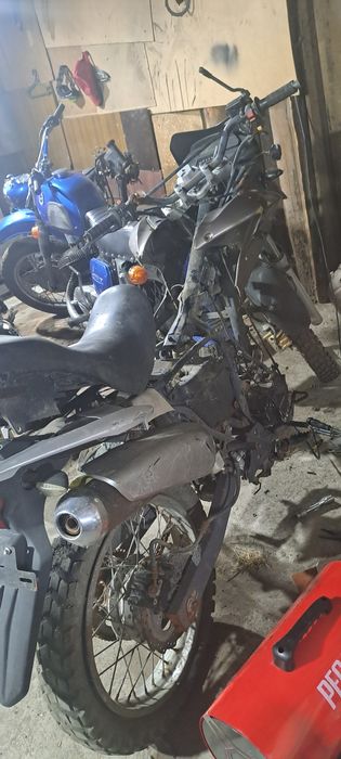 Racer Reindjer 200cc